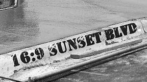 Derek Taylor Shayne is: "16:9 Sunset Blvd."