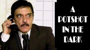 "A Potshot in the Dark"